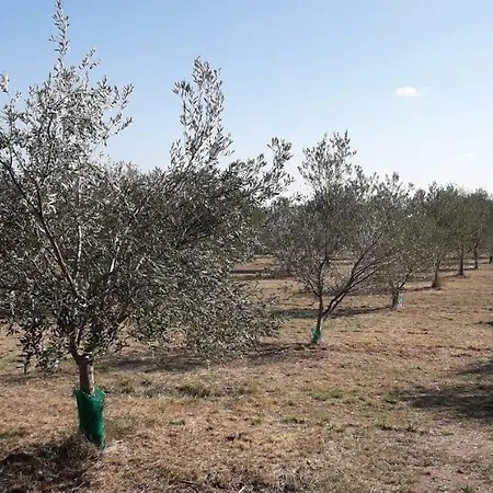 Indépendant Avec Parking Fermé Et Sécurisé 3* Lédenon